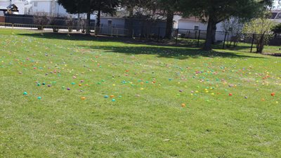 Easter Egg Hunt 4-12-25
