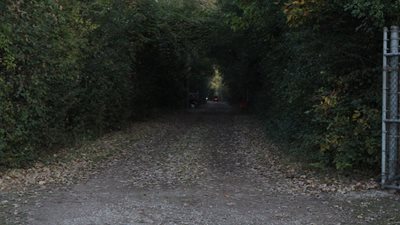 Haunted Hayride and Pumpkin Patch 2024