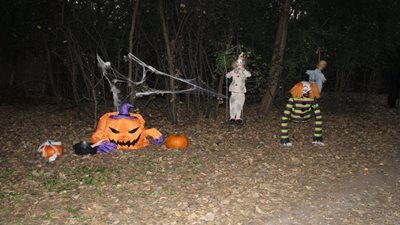Haunted Hayride and Pumpkin Patch 2024