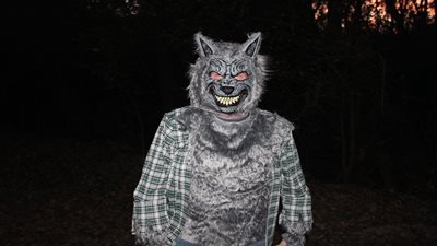 Haunted Hayride and Pumpkin Patch 2024