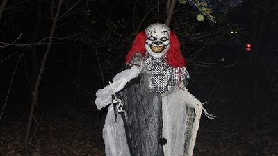 Haunted Hayride and Pumpkin Patch 2024