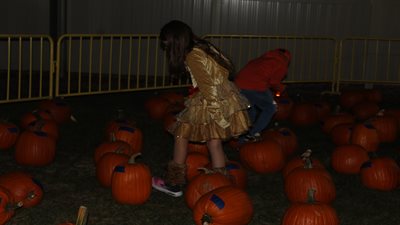 Haunted Hayride and Pumpkin Patch 2024