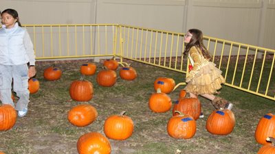 Haunted Hayride and Pumpkin Patch 2024