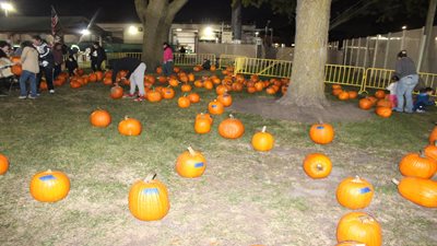 Haunted Hayride and Pumpkin Patch 2024