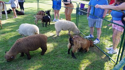 Stickney Family Day 2025 Cont'd