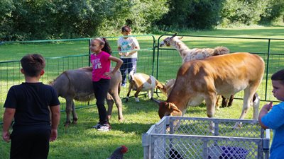 Stickney Family Day 2025 Cont'd