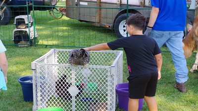 Stickney Family Day 2025 Cont'd