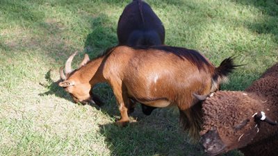 Stickney Family Day 2025 Cont'd