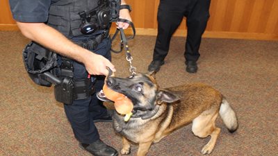Stickney Police Open House 2024